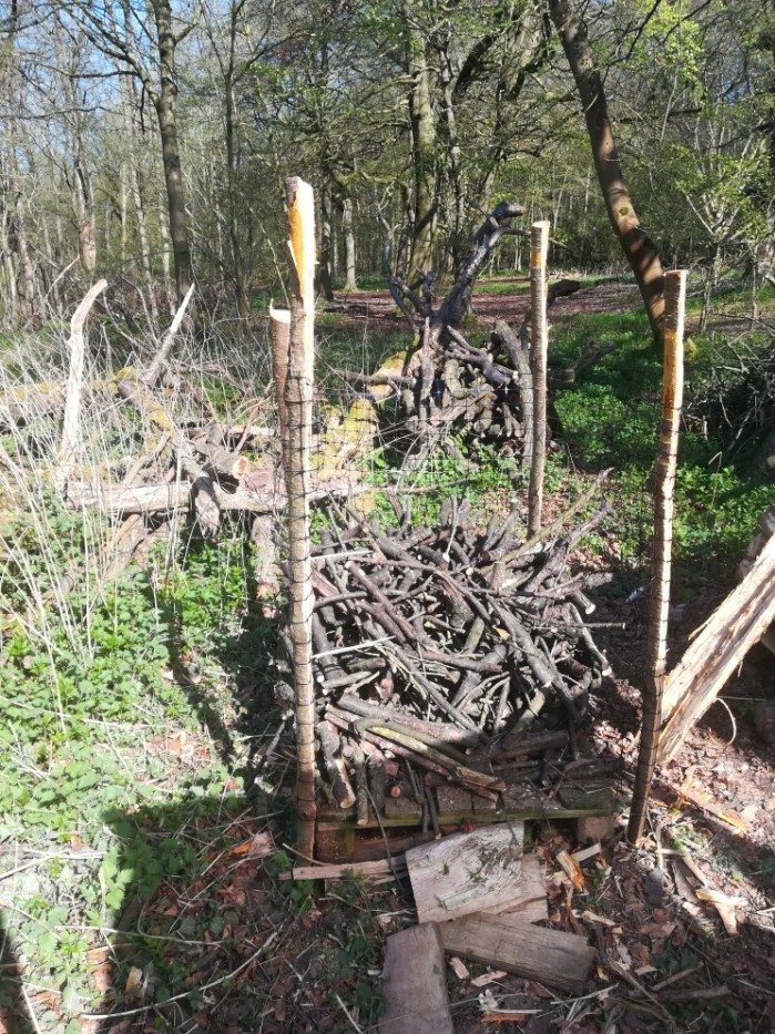 IMG_20180419_153644_resized_20180504_015528296